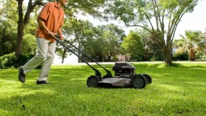 Lawn Mowing Reducer Treatment